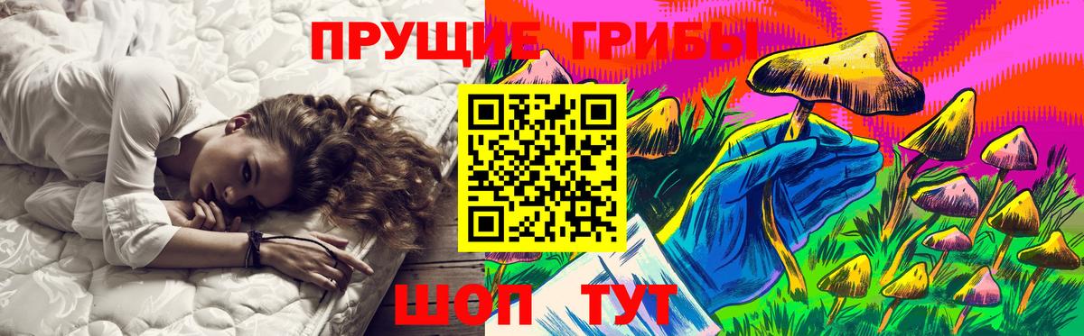Галлюциногенные грибы Psilocybe Острогожск